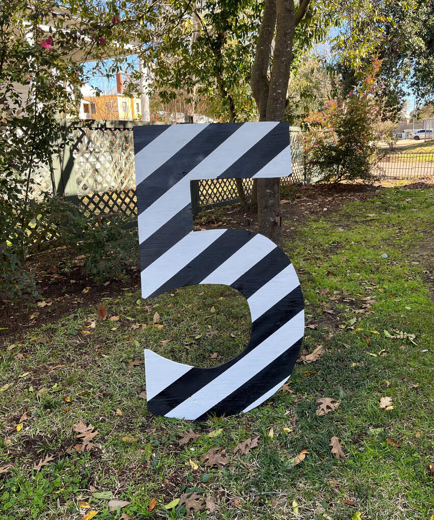 Five - Black and White Striped